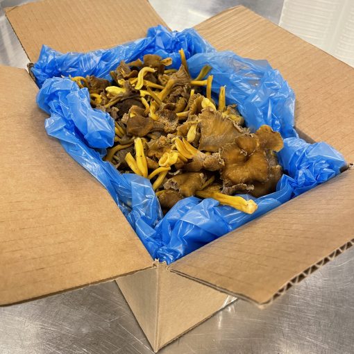 Uppländska Trattkantareller 2kg